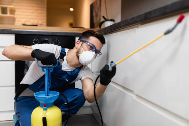 Best Pest Control for Homes  in Harmony, PA