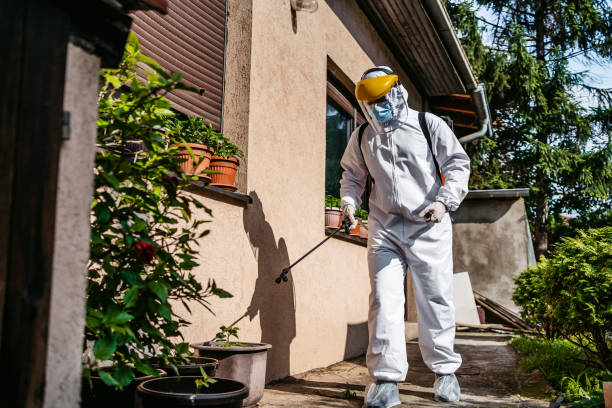 Best Insect Control  in Harmony, PA