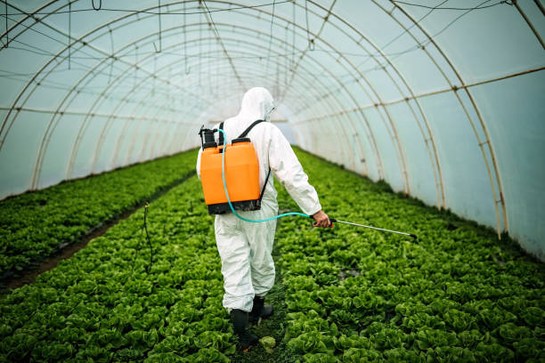 Best Affordable Pest Control Services  in Harmony, PA