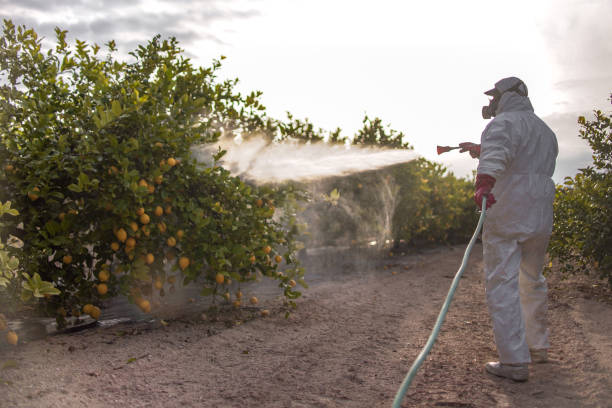 Pest Prevention Services in Harmony, PA