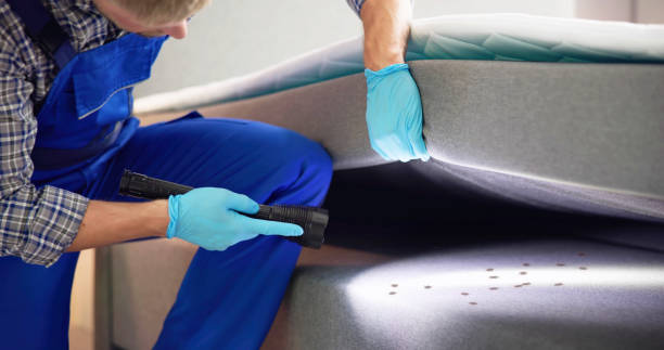 Best Wasp Removal Services  in Harmony, PA