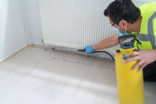 Best Emergency Pest Control  in Harmony, PA