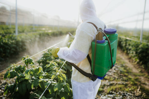 Reliable Harmony, PA Pest Control Solutions